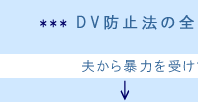 DV防止法の全体の流れの画像2