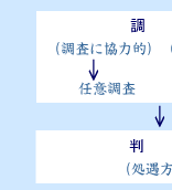 児童虐待の防止等に関する法律の画像5