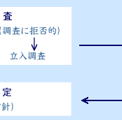 児童虐待の防止等に関する法律の画像6