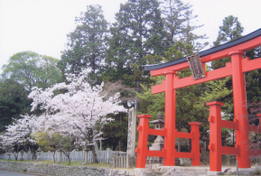 龍田大社 正面大鳥居の画像