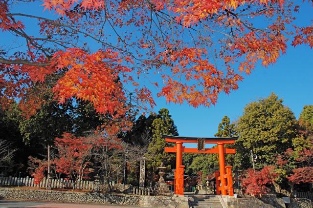 龍田神社の画像2