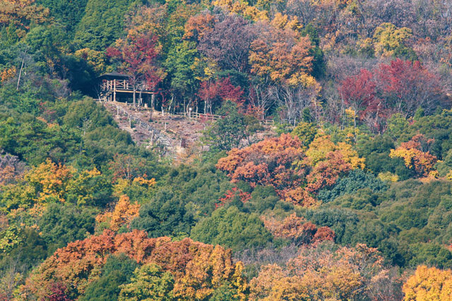 三室山の画像1