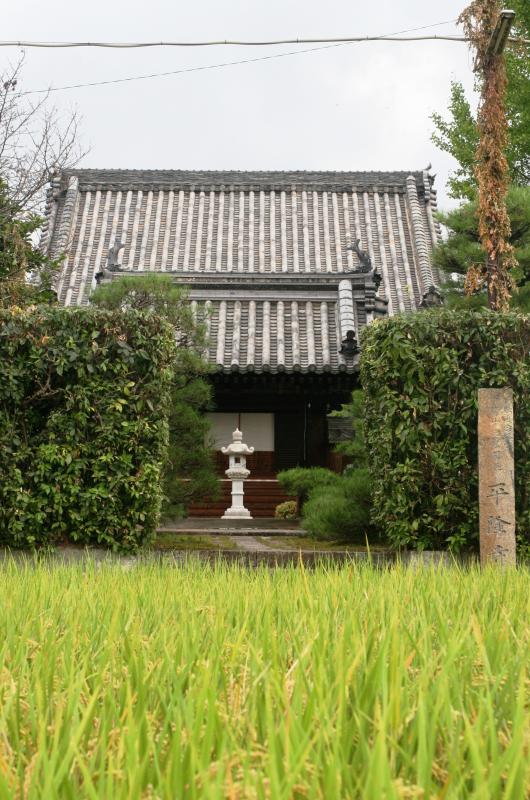 現在の平隆寺