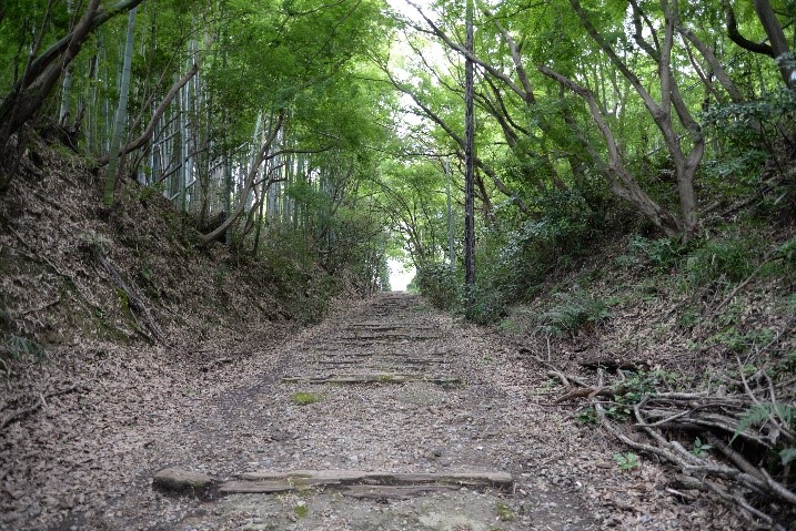 東信貴鋼索線軌道跡